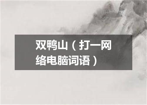 双鸭山（打一网络电脑词语）