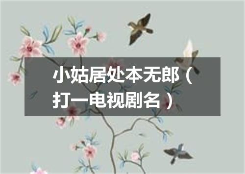 小姑居处本无郎（打一电视剧名）