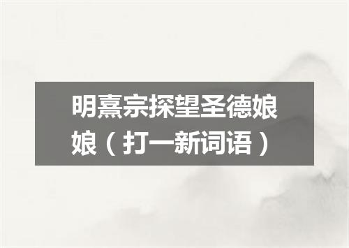 明熹宗探望圣德娘娘（打一新词语）