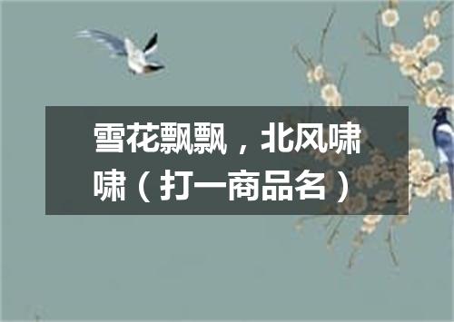 雪花飘飘，北风啸啸（打一商品名）