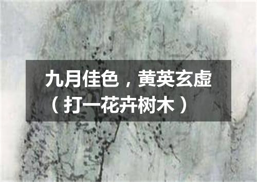 九月佳色，黄英玄虚（打一花卉树木）