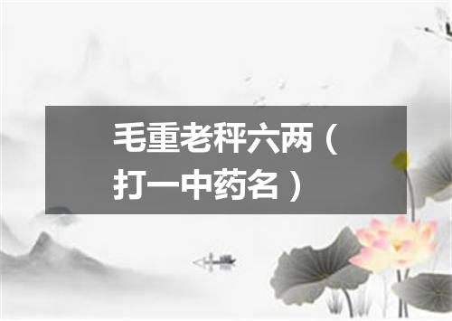 毛重老秤六两（打一中药名）