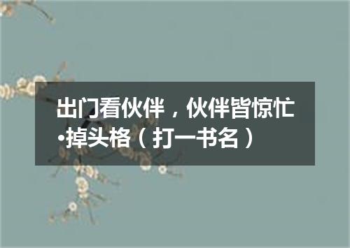 出门看伙伴，伙伴皆惊忙·掉头格（打一书名）