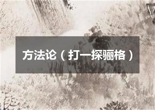 方法论（打一探骊格）