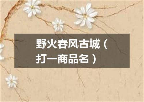 野火春风古城（打一商品名）