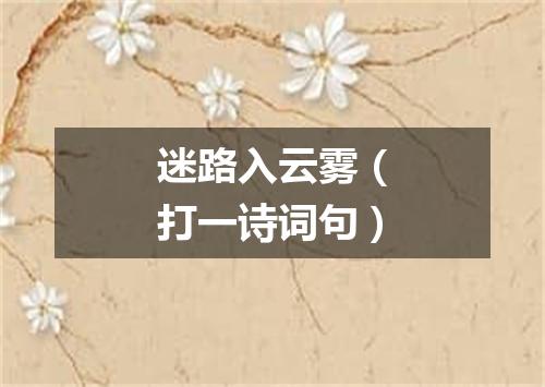 迷路入云雾（打一诗词句）