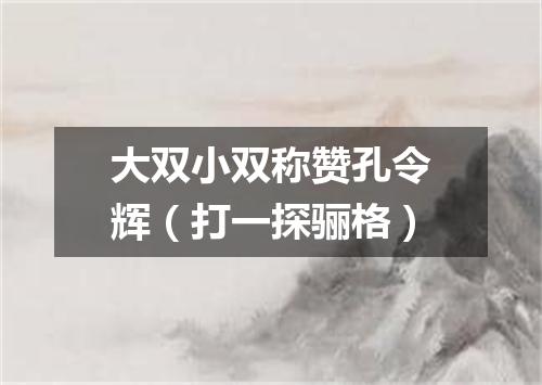 大双小双称赞孔令辉（打一探骊格）