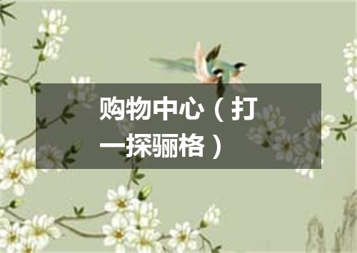 购物中心（打一探骊格）
