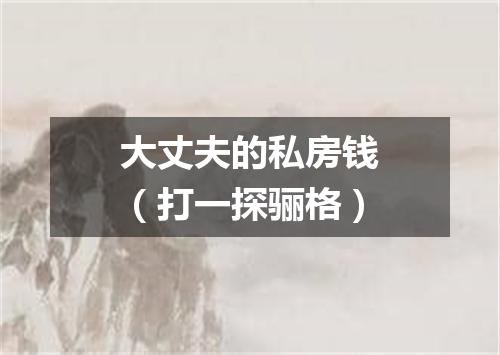 大丈夫的私房钱（打一探骊格）