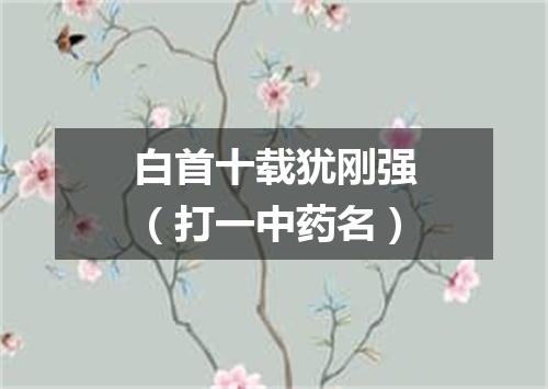 白首十载犹刚强（打一中药名）