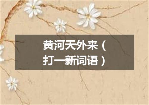 黄河天外来（打一新词语）