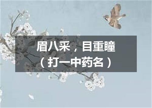 眉八采，目重瞳（打一中药名）
