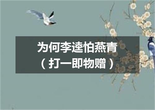 为何李逵怕燕青（打一即物赠）