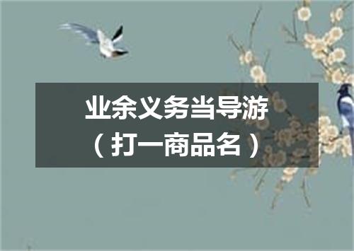 业余义务当导游（打一商品名）