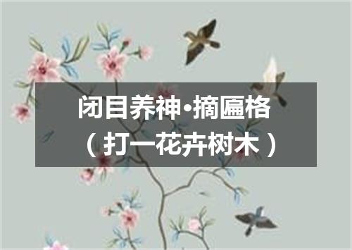 闭目养神·摘匾格（打一花卉树木）