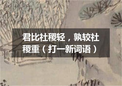 君比社稷轻，孰较社稷重（打一新词语）