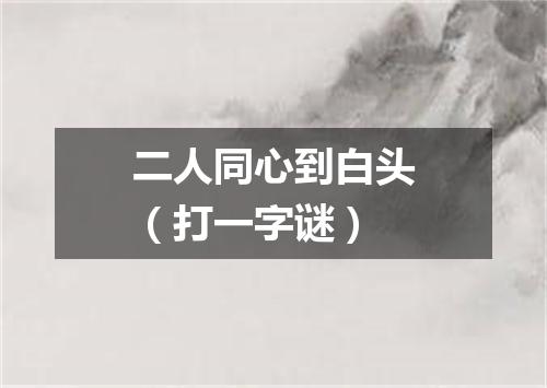 二人同心到白头（打一字谜）