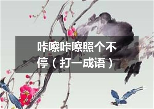 咔嚓咔嚓照个不停（打一成语）