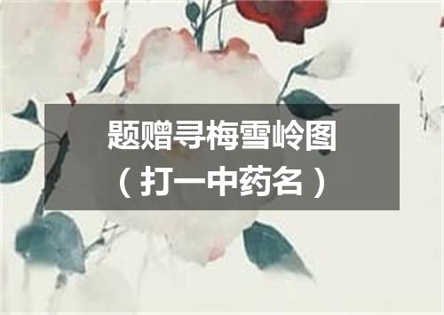题赠寻梅雪岭图（打一中药名）