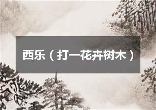 西乐（打一花卉树木）