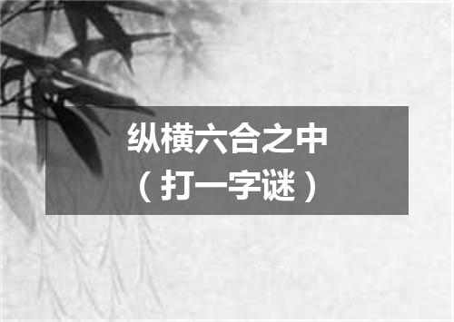 纵横六合之中（打一字谜）