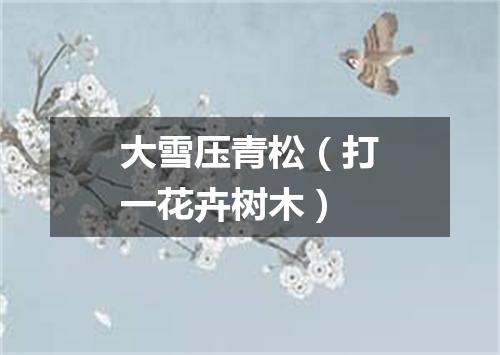 大雪压青松（打一花卉树木）