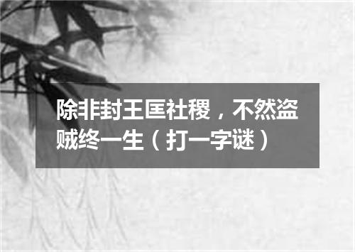 除非封王匡社稷，不然盗贼终一生（打一字谜）