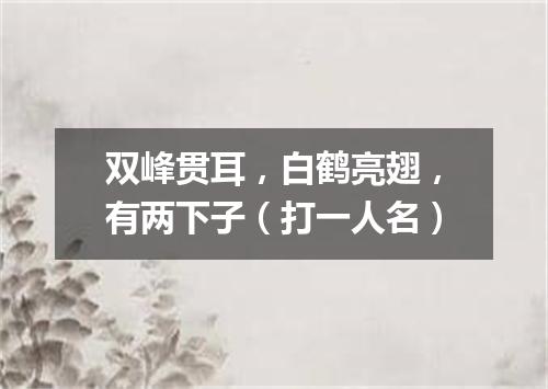 双峰贯耳，白鹤亮翅，有两下子（打一人名）