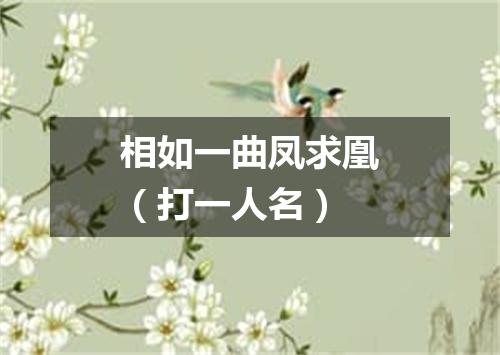 相如一曲凤求凰（打一人名）