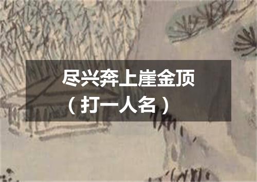 尽兴奔上崖金顶（打一人名）
