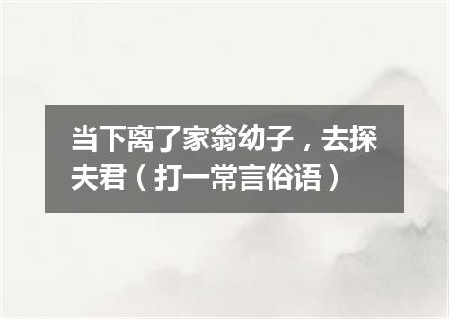 当下离了家翁幼子，去探夫君（打一常言俗语）