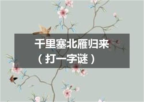 千里塞北雁归来（打一字谜）