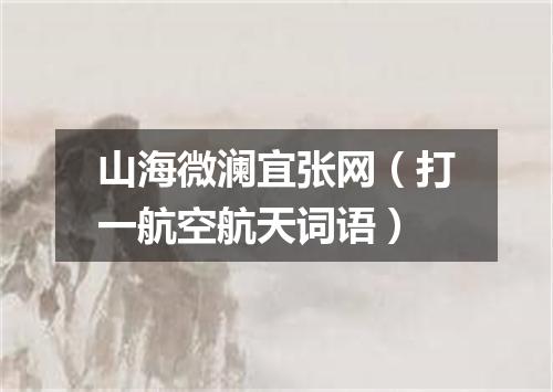 山海微澜宜张网（打一航空航天词语）