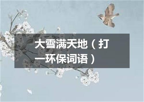 大雪满天地（打一环保词语）