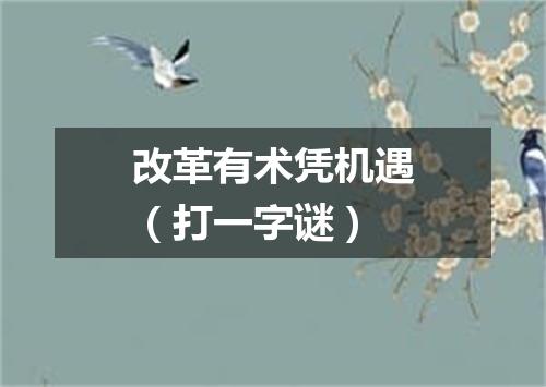 改革有术凭机遇（打一字谜）