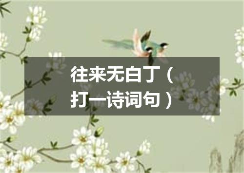 往来无白丁（打一诗词句）