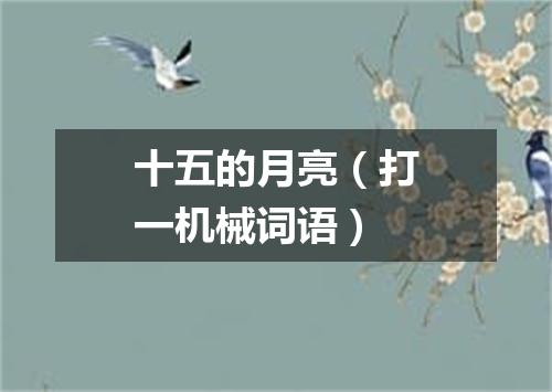 十五的月亮（打一机械词语）