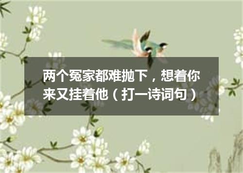 两个冤家都难抛下，想着你来又挂着他（打一诗词句）