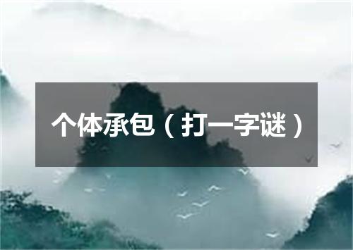个体承包（打一字谜）