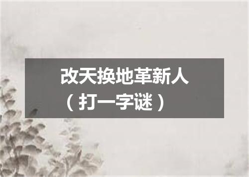 改天换地革新人（打一字谜）