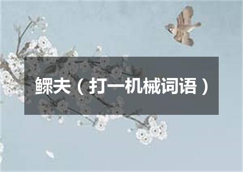 鳏夫（打一机械词语）