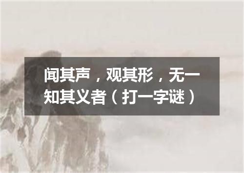 闻其声，观其形，无一知其义者（打一字谜）