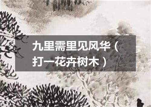 九里需里见风华（打一花卉树木）
