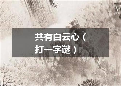 共有白云心（打一字谜）