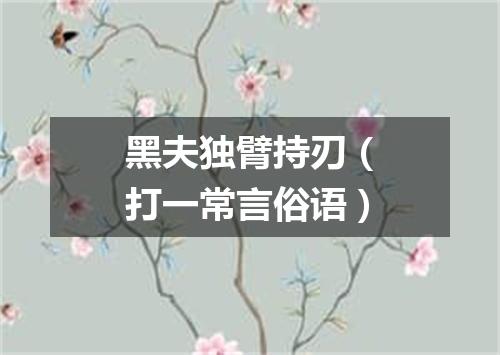 黑夫独臂持刃（打一常言俗语）