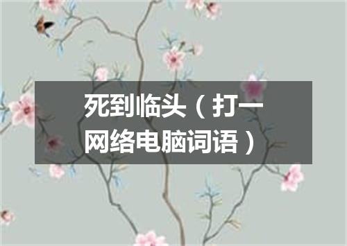死到临头（打一网络电脑词语）