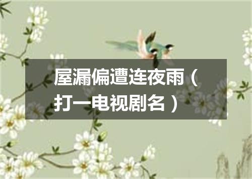 屋漏偏遭连夜雨（打一电视剧名）