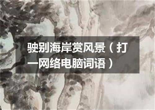 驶别海岸赏风景（打一网络电脑词语）