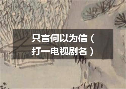 只言何以为信（打一电视剧名）