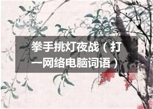 拳手挑灯夜战（打一网络电脑词语）